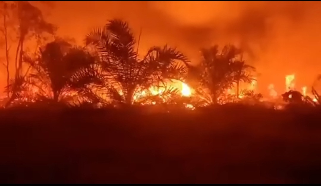 Karhutla Melanda Desa Anjir Pulang Pisau, Pemkab Kalteng Perketat Penanganan Darurat
