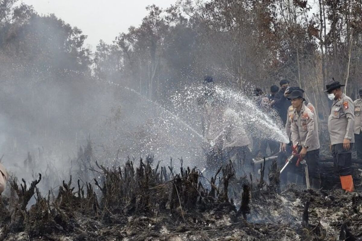 Kerahkan 60 Ribu Personel, Pemerintah Klaim Keberhasilan Pemadaman Karhutla Tembus 80 Persen