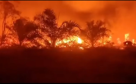 Karhutla Melanda Desa Anjir Pulang Pisau, Pemkab Kalteng Perketat Penanganan Darurat