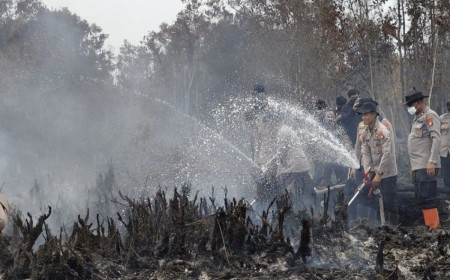 Kerahkan 60 Ribu Personel, Pemerintah Klaim Keberhasilan Pemadaman Karhutla Tembus 80 Persen
