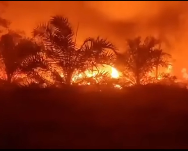 Karhutla Melanda Desa Anjir Pulang Pisau, Pemkab Kalteng Perketat Penanganan Darurat